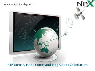 RIP Metric, Hope Count and Hop Count Calculation
www.netprotocolxpert.in
 
