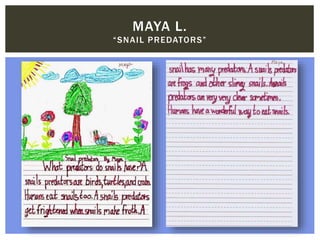 MAYA L.
“SNAIL PREDATORS”
 