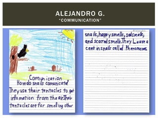 ALEJANDRO G.
“COMMUNICATION”
 