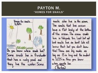 PAYTON M.
“HOMES FOR SNAILS”
 