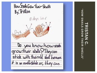 TRISTANC.
“HOWSNAILSGROWTHEIRSHELLS”
 