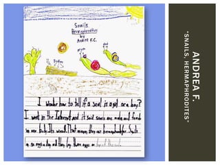 ANDREAF.
“SNAILS,HERMAPHRODITES”
 