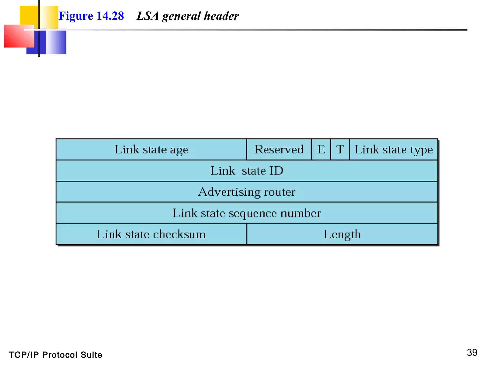 TCP/IP Protocol Suite 39
Figure 14.28 LSA general header
 