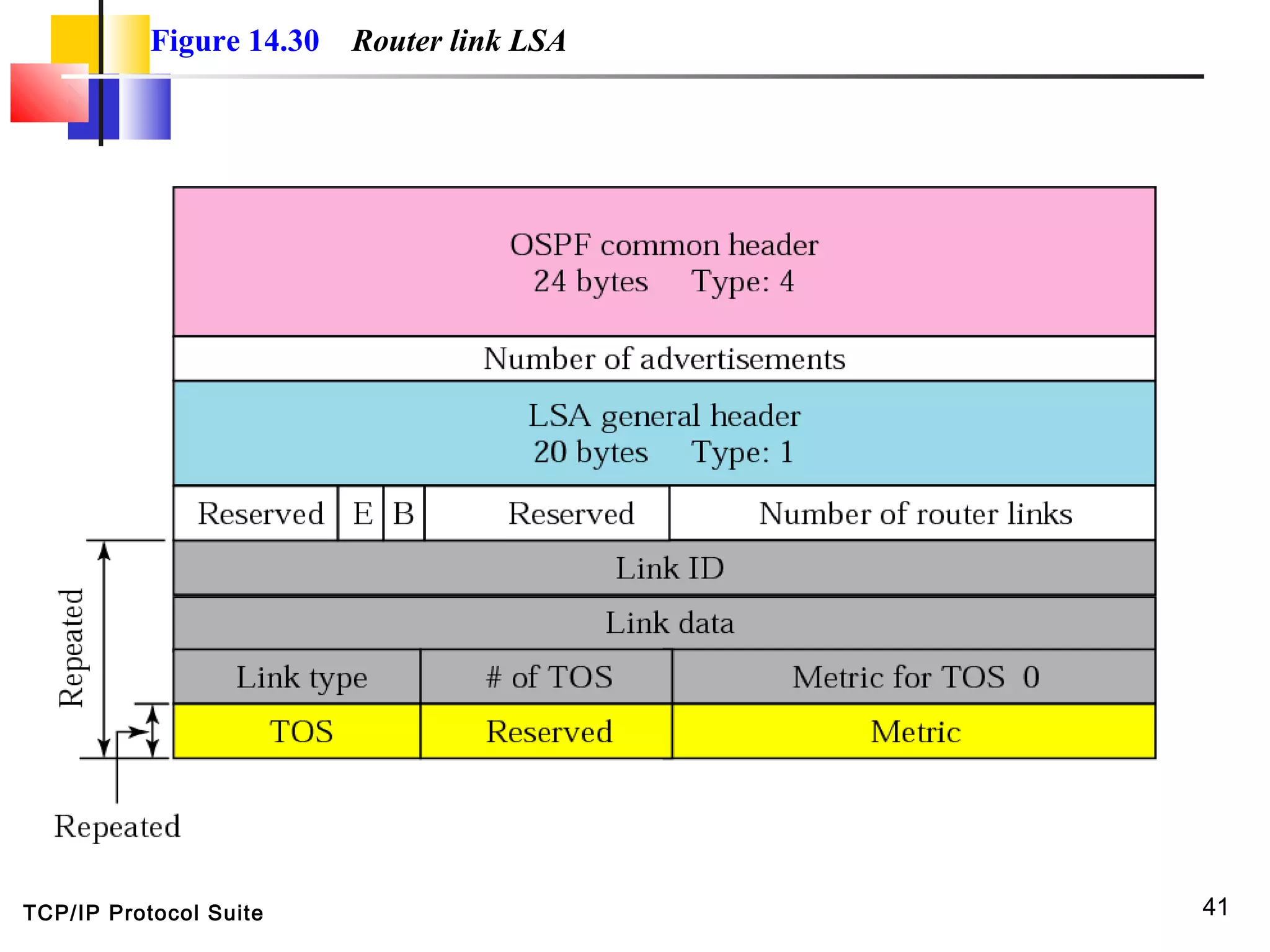 TCP/IP Protocol Suite 41
Figure 14.30 Router link LSA
 