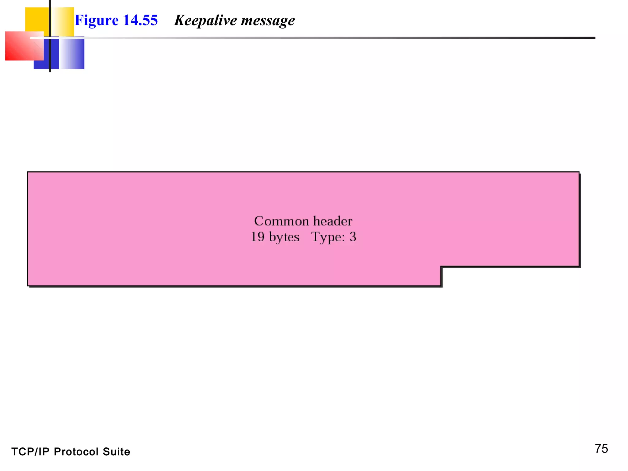 TCP/IP Protocol Suite 75
Figure 14.55 Keepalive message
 