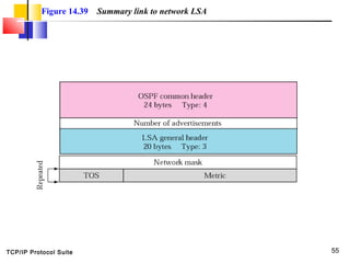 Rip ospf and bgp | PPT
