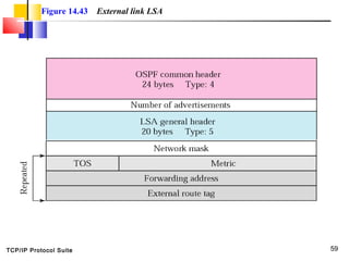 Rip ospf and bgp | PPT