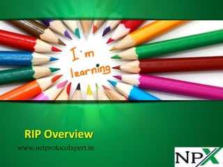 RIP Overview
www.netprotocolxpert.in
 