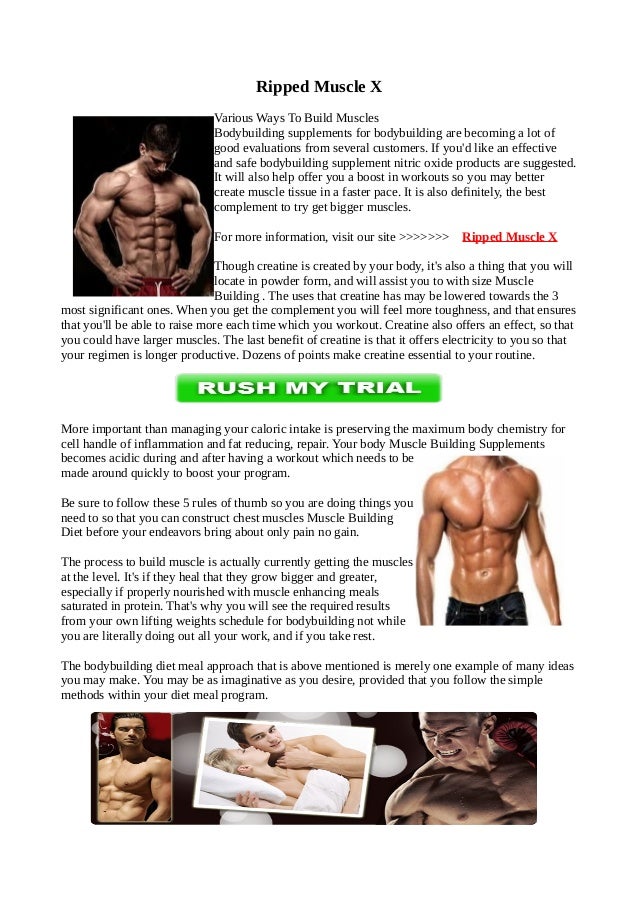 Muscle Building Programs