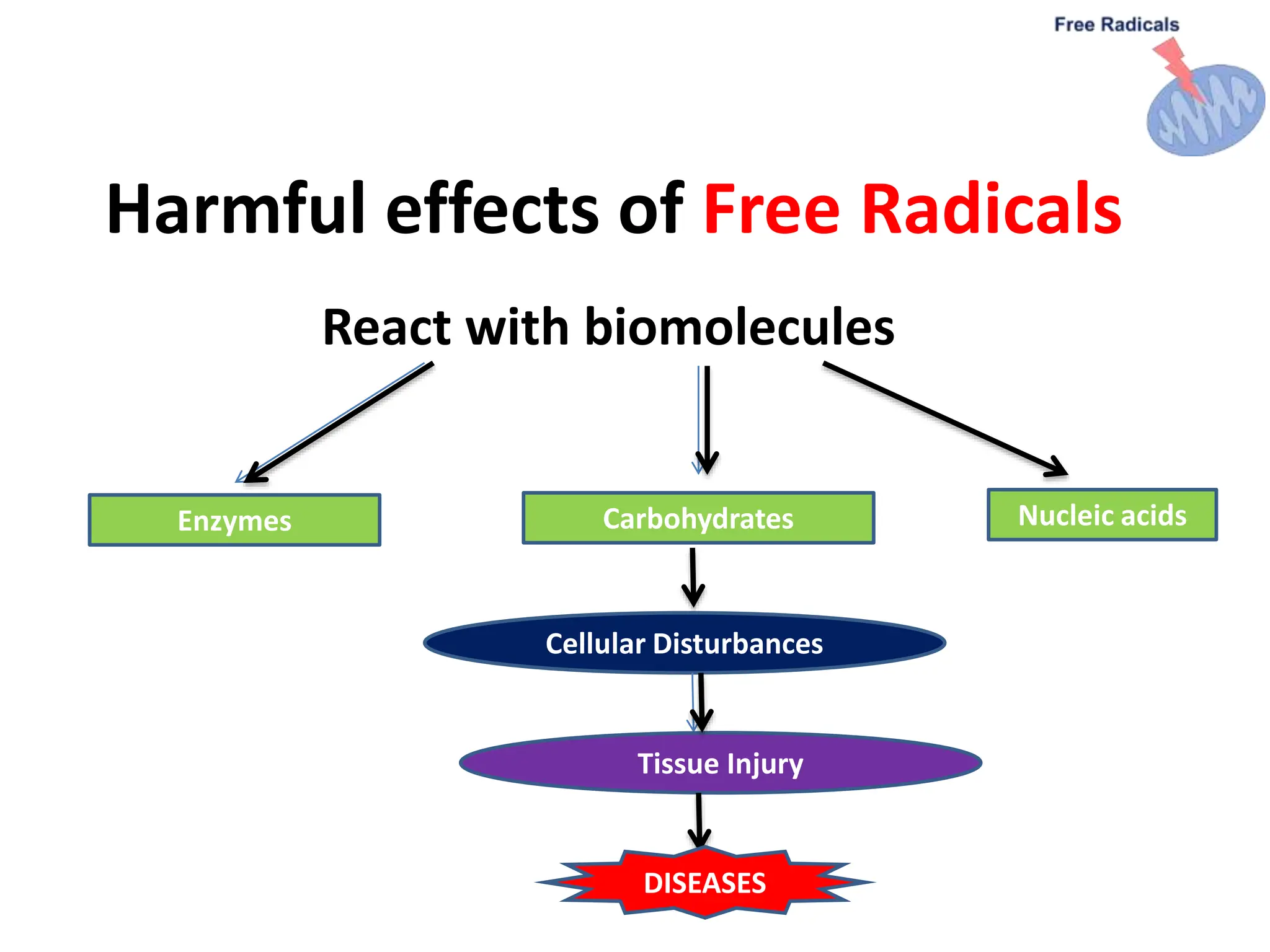Harmful effects of Free Radicals
React with biomolecules
Enzymes Nucleic acids
Carbohydrates
Cellular Disturbances
Tissue Injury
DISEASES
 