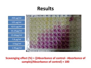 DPPH radical scavenging assay via micrototre plate method.pptx