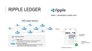 Tech Ripple Ripple | PPTX
