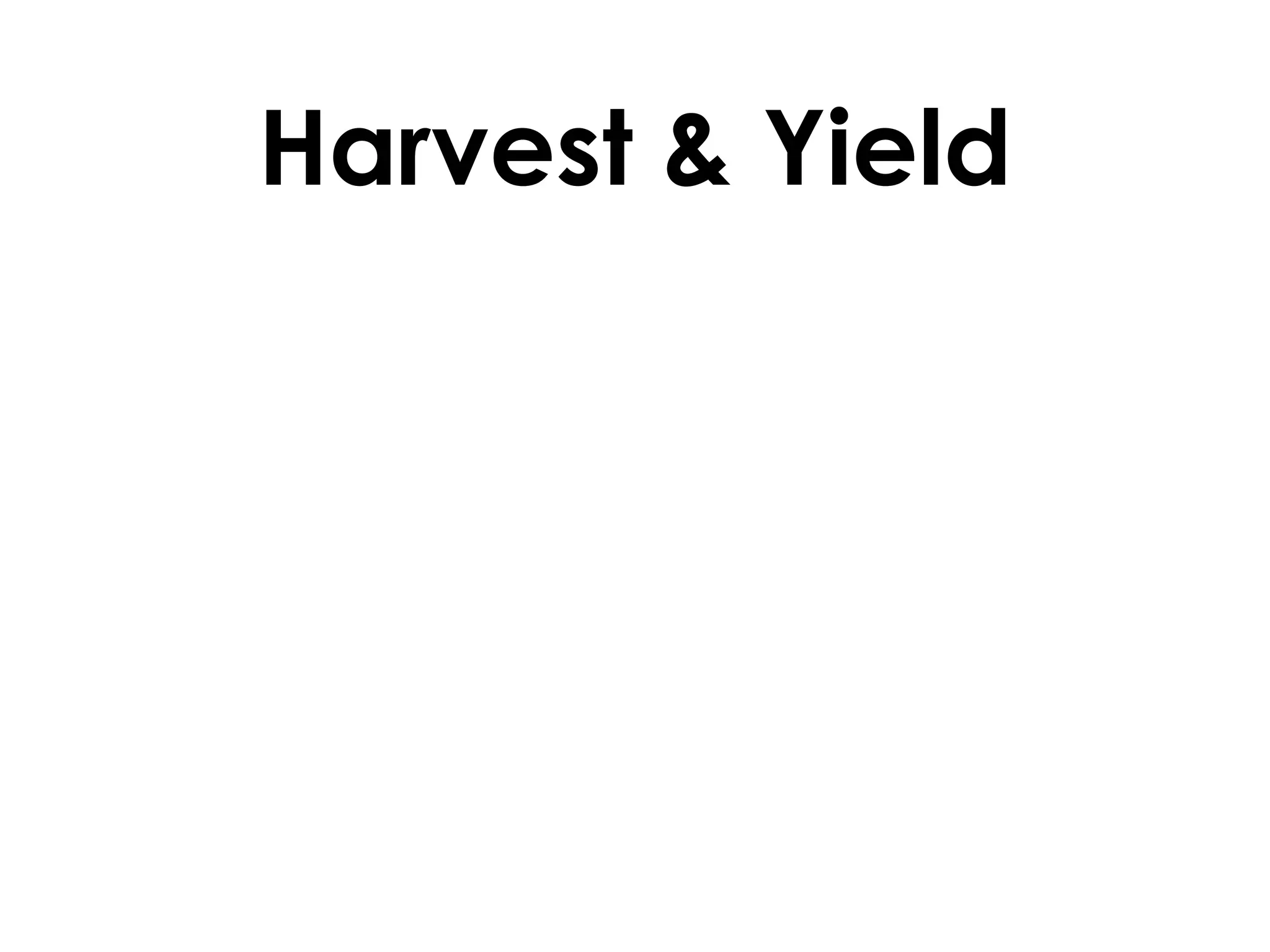 Harvest & Yield
 