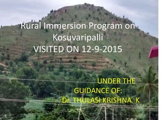 Rural Immersion Program on
Kosuvaripalli
VISITED ON 12-9-2015
UNDER THE
GUIDANCE OF:
Dr. THULASI KRISHNA. K
 