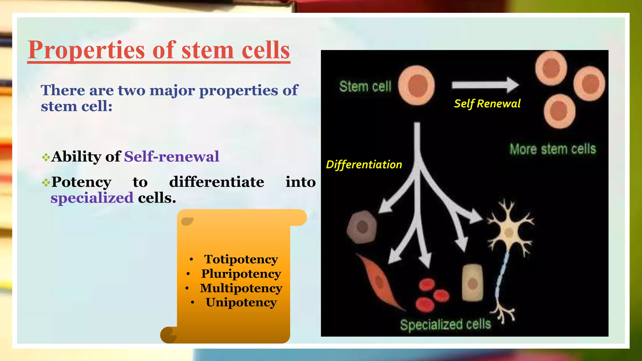 Properties of stem cells
Differentiation
Self Renewal
There are two major properties of
stem cell:
Ability of Self-renewal
Potency to differentiate into
specialized cells.
• Totipotency
• Pluripotency
• Multipotency
• Unipotency
 