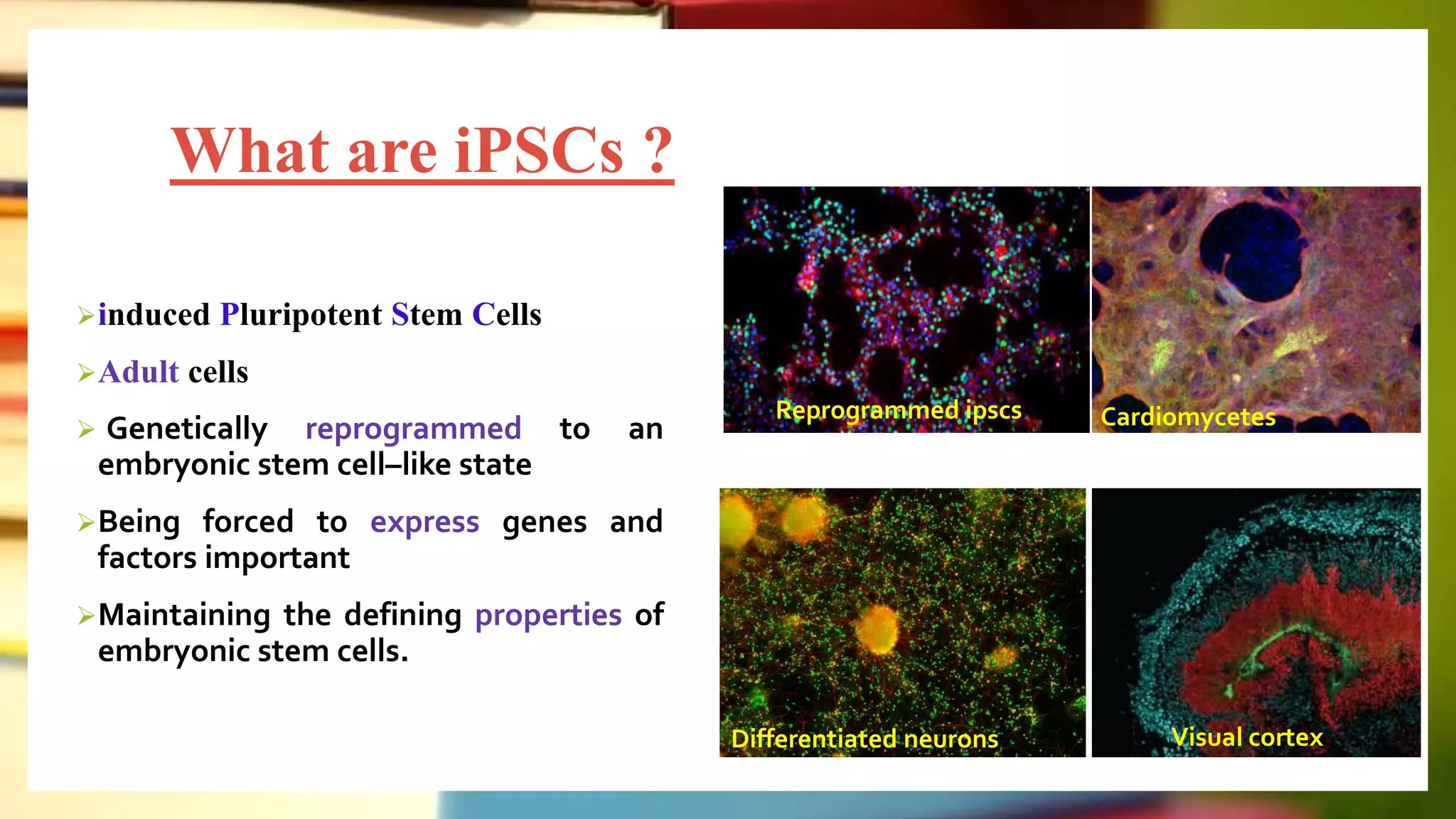 What are iPSCs ?
induced Pluripotent Stem Cells
Adult cells
 Genetically reprogrammed to an
embryonic stem cell–like state
Being forced to express genes and
factors important
Maintaining the defining properties of
embryonic stem cells.
Cardiomycetes
Differentiated neurons Visual cortex
Reprogrammed ipscs
 