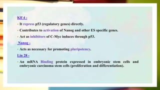 Klf 4 -
• It repress p53 (regulatory genes) directly.
• Contributes to activation of Nanog and other ES specific genes.
• Act as inhibitors of C-Myc induces through p53.
Nanog -
• Acts as necessary for promoting pluripotency.
Lin 28 -
• An mRNA Binding protein expressed in embryonic stem cells and
embryonic carcinoma stem cells (proliferation and differentiation).
 