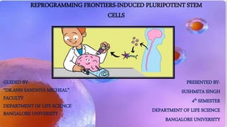 GUIDED BY-
“DR.ANN SANDHYA MICHEAL”
FACULTY
DEPARTMENT OF LIFE SCIENCE
BANGALORE UNIVERSITY
PRESENTED BY-
SUSHMITA SINGH
4th SEMESTER
DEPARTMENT OF LIFE SCIENCE
BANGALORE UNIVERSITY
REPROGRAMMING FRONTIERS-INDUCED PLURIPOTENT STEM
CELLS
 