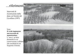 Interventi di
ricostruzione delle
dune sul litorale del
Cavallino (1997)
…riferimenti
Nota:
Il verde impiantato
non necess...