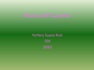 Riqueza del Caquetá
Yorfary Suaza Ruiz
705
2010
 