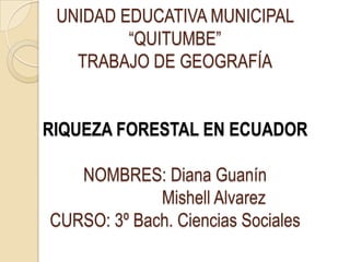 UNIDAD EDUCATIVA MUNICIPAL
         “QUITUMBE”
   TRABAJO DE GEOGRAFÍA


RIQUEZA FORESTAL EN ECUADOR

   NOMBRES: Diana Guanín
             Mishell Alvarez
CURSO: 3º Bach. Ciencias Sociales
 