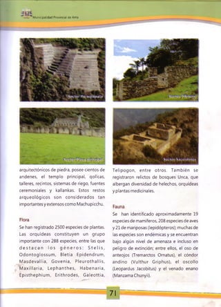 r f> I .
s M unicipalidad Provincial de Anta
Telipogon, entre otros. Tam bién se
registraron relictos de bosques Unca, que
albergan diversidad de helechos, orquídeas
y plantas medicinales.
Se han identificado aproximadamente 19
especies de mamíferos, 208 especies de aves
y 21 de mariposas (lepidópteros); muchas de
las especies son endémicas y se encuentran
bajo algún nivel de amenaza e incluso en
peligro de extinción; entre ellos, el oso de
anteojos (Tremarctos Ornatus), el cóndor
andino (Vulthur Griphus), el oscollo
(Leopardus Jacobitus) y el venado enano
(Manzama Chunyii).
F b ri
Se han registrado 2500 especies de plantas.
Las orquídeas constituyen un grupo
importante con 288 especies, entre las que
d e s t a c a n lo s g é n e r o s : S t e l i s ,
O dontoglossum , Bletia Epidendrum ,
M asd evallia, G o venia, P le u ro th a llis,
M a x illa ria , Le p h a n th e s, H a b e n a ria ,
Episthephium , Erithrod es, G aleottia,
arquitectónicos de piedra, posee cientos de
andenes, el templo principal, qollcas,
talleres, recintos, sistemas de riego, fuentes
ceremoniales y kallankas. Estos restos
arqueológicos son considerados tan
importantes y extensos como Machupicchu.
71
 