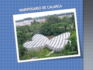 Riqueza turistica de colombia