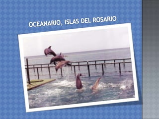 Riqueza turistica de colombia