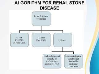 ALGORITHM FOR RENAL STONE
DISEASE
 