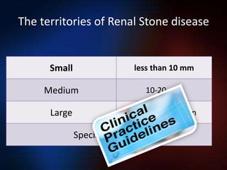 RIRS VS PNL (2).pptx