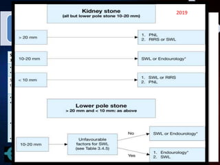 RIRS VS PNL (2).pptx