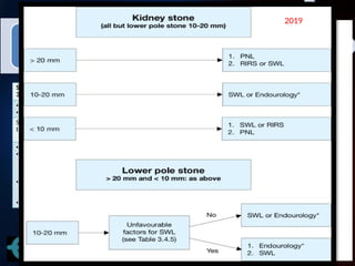 2007
200
8
2009 2010 2011 2019
Stone less than
300 mm 2
• ESWL
• PNL
Stone MORE
than 300 mm 2
• PNL
• ESWL WITH
OR
WITHOUT
PNL
• PNL with or
without
ESWL
• Open
Stone less than
300 mm 2
• ESWL
• PNL
• RIRS
• LAP
• OS
Stone MORE than
300 mm 2
• PNL
• ESWL WITH
OR WITHOUT
PNL
• PNL with or
without ESWL
• LAP
In lower pole
• ESWL
• PNL
• RIRS
• Are
competing
1b A
ESWL
refractory
stone
• RIRS 1b A
2011
2012
2019
 