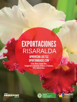 www.proexport.com.co
Libertad y Orden
RISARALDA
 