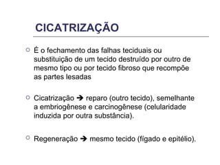 CICATRIZAÇÃO É o fechamento das falhas teciduais ou substituição de um tecido destruído por outro de mesmo tipo ou por tecido fibroso que recompõe as partes lesadas Cicatrização    reparo (outro tecido), semelhante a embriogênese e carcinogênese (celularidade induzida por outra substância). Regeneração    mesmo tecido (fígado e epitélio).   
