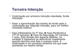 Terceira Intenção Cicatrização por primeira intenção retardada, ferida infectada. Fazer a aproximação dos bordos da ferida após a cicatrização por segunda intenção, para um melhor resultado estético. Fase Inflamatória (0-7º dia)    Fase Ploriferativa (7º-3ª semana)    Fase de Maturação (3ª semana - 1 ano). Esta divisão tem aspecto didático, na verdade é impossível se determinar exatamente quando termina uma fase e começa outra. A cicatrização é um processo dinâmico em que tudo aconteceu ao mesmo tempo  