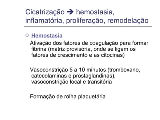 Cicatrização    hemostasia, inflamatória, proliferação, remodelação  Hemostasia Ativação dos fatores de coagulação para formar fibrina (matriz provisória, onde se ligam os fatores de crescimento e as citocinas) Vasoconstrição 5 a 10 minutos (tromboxano, catecolaminas e prostaglandinas), vasoconstrição local e transitória Formação de rolha plaquetária 