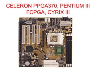 CELERON PPGA370, PENTIUM III
FCPGA, CYRIX III
 