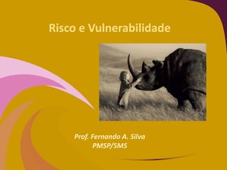 Risco e Vulnerabilidade
Prof. Fernando A. Silva
PMSP/SMS
 