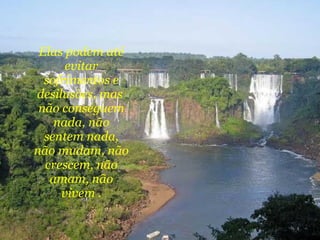 Elas podem até evitar sofrimentos e desilusões, mas  não conseguem nada, não sentem nada, não mudam, não crescem, não amam, não vivem . 