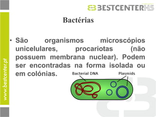 Bactérias 
•São organismos microscópios unicelulares, procariotas (não possuem membrana nuclear). Podem ser encontradas na forma isolada ou em colónias.  