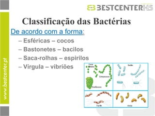 Classificação das Bactérias 
De acordo com a forma: 
–Esféricas – cocos 
–Bastonetes – bacilos 
–Saca-rolhas – espirilos 
–Vírgula – vibriões 
 