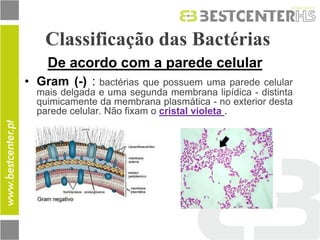 Classificação das Bactérias 
•Gram (-) : bactérias que possuem uma parede celular mais delgada e uma segunda membrana lipídica - distinta quimicamente da membrana plasmática - no exterior desta parede celular. Não fixam o cristal violeta . 
De acordo com a parede celular  