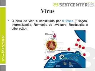 Vírus 
•O ciclo de vida é constituído por 5 fases (Fixação, Internalização, Remoção do invólucro, Replicação e Liberação).  