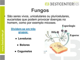 Fungos 
•São seres vivos, unicelulares ou pluricelulares, eucariotas que podem provocar doenças no homem, como por exemplo micoses. 
Dividem-se em três grupos: 
● Leveduras 
● Bolores 
● Cogumelos 
Hifa 
Esporângio 
Esporos  