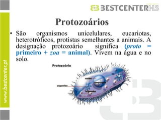 Protozoários 
•São organismos unicelulares, eucariotas, heterotróficos, protistas semelhantes a animais. A designação protozoário significa (proto = primeiro + zoa = animal). Vivem na água e no solo.  