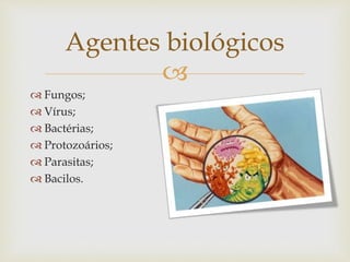 
 Fungos;
 Vírus;
 Bactérias;
 Protozoários;
 Parasitas;
 Bacilos.
Agentes biológicos
 