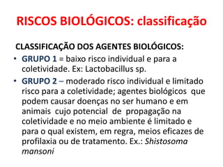 RISCOS BIOLÓGICOS: classificação
 CLASSIFICAÇÃO DOS AGENTES BIOLÓGICOS:
• GRUPO 1 = baixo risco individual e para a
  coletividade. Ex: Lactobacillus sp.
• GRUPO 2 – moderado risco individual e limitado
  risco para a coletividade; agentes biológicos que
  podem causar doenças no ser humano e em
  animais cujo potencial de propagação na
  coletividade e no meio ambiente é limitado e
  para o qual existem, em regra, meios eficazes de
  profilaxia ou de tratamento. Ex.: Shistosoma
  mansoni
 