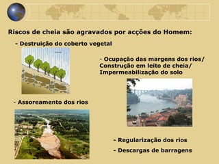 Riscos de cheia são agravados por acções do Homem: - Destruição do coberto vegetal -  Assoreamento dos rios Ocupação das margens dos rios/ Construção em leito de cheia/  Impermeabilização do solo - Descargas de barragens - Regularização dos rios 