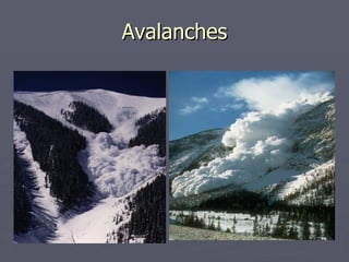 Avalanches 