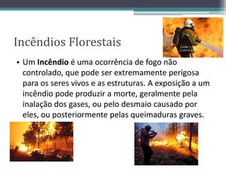 Incêndios Florestais
• Um Incêndio é uma ocorrência de fogo não
controlado, que pode ser extremamente perigosa
para os seres vivos e as estruturas. A exposição a um
incêndio pode produzir a morte, geralmente pela
inalação dos gases, ou pelo desmaio causado por
eles, ou posteriormente pelas queimaduras graves.
 